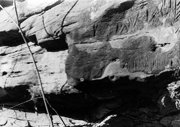 Redbird Petroglyph at cliff side before the fall & move