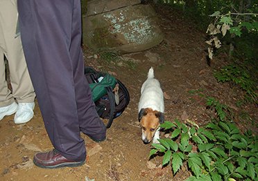 Helper joins MES documentation of Redbird Cave