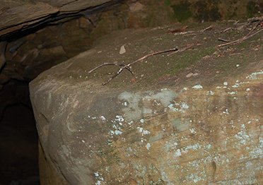 Redbird Cave Scene