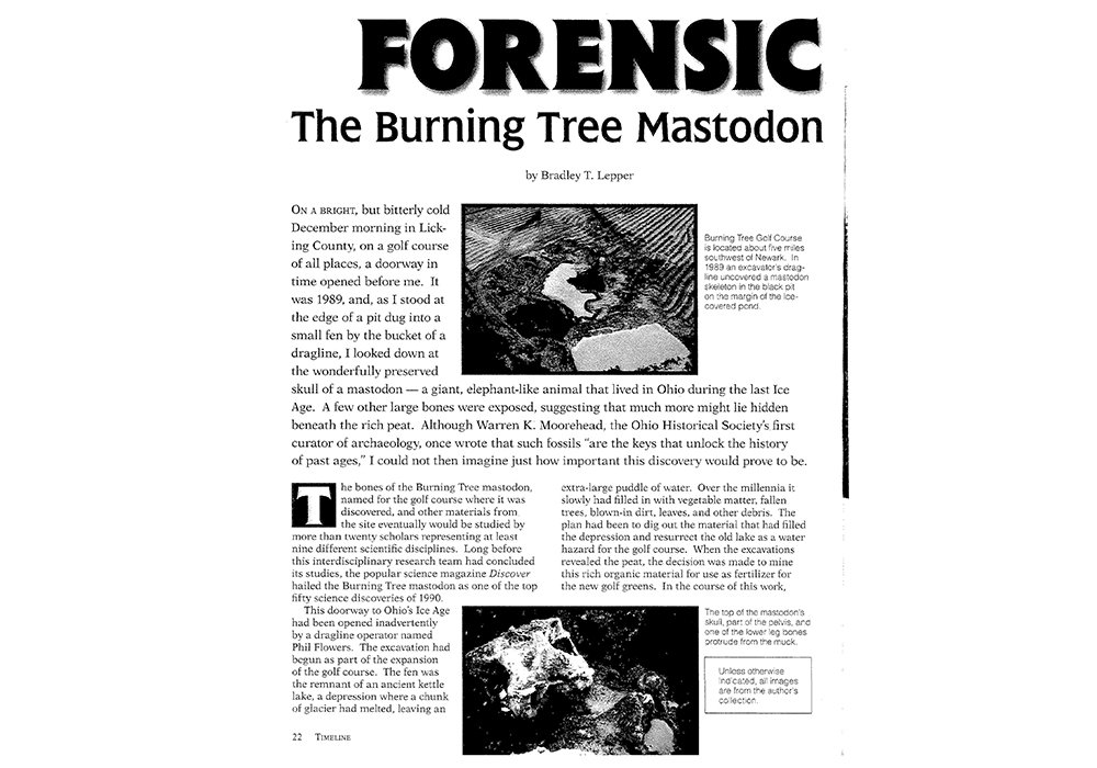 Forensic The Burning Tree Mastodon