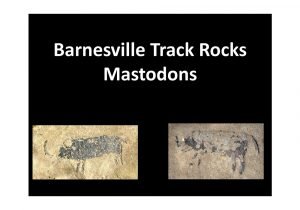 Barnesville Track Rocks Mastodons